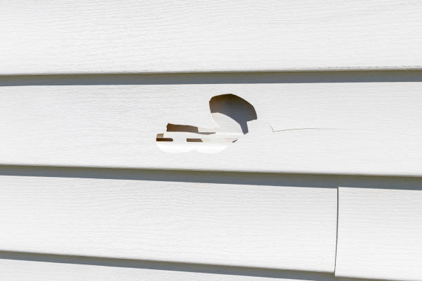 Affordable siding repair and maintenance services in Pulaski, VA