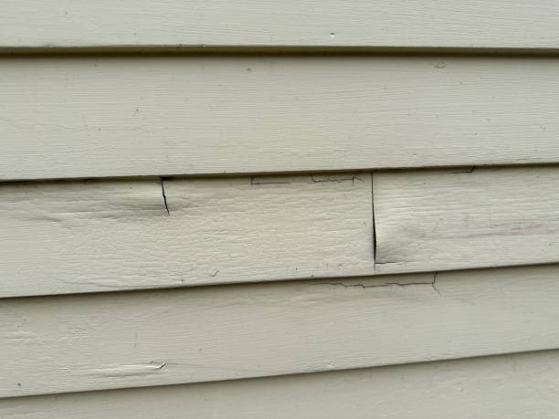 Best Custom Siding Design  in Pulaski, VA